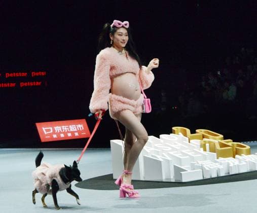 Shanghai Fashion Week, Modenschau mit Haustieren SHANGHAI, CHINA - MARCH 28: A pet dog accompanied by model walks the runway during 2025 Petjoy Fashion Week at Shanghai Fashion Center on March 28, 2025 in Shanghai, China. The eagerly anticipated 2025 Petjoy Fashion Week will be held on March 28-30 at the Shanghai Fashion Center, bringing together pet lovers, designers and trendsetters from around the world for a special celebration of pet fashion.  Copyright: xVCGx 111557934164