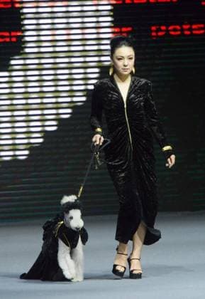 Shanghai Fashion Week, Modenschau mit Haustieren SHANGHAI, CHINA - MARCH 28: A pet dog accompanied by model walks the runway during 2025 Petjoy Fashion Week at Shanghai Fashion Center on March 28, 2025 in Shanghai, China. The eagerly anticipated 2025 Petjoy Fashion Week will be held on March 28-30 at the Shanghai Fashion Center, bringing together pet lovers, designers and trendsetters from around the world for a special celebration of pet fashion.  Copyright: xVCGx 111557934167