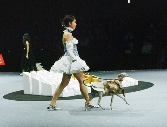 Shanghai Fashion Week, Modenschau mit Haustieren SHANGHAI, CHINA - MARCH 28: A pet dog accompanied by model walks the runway during 2025 Petjoy Fashion Week at Shanghai Fashion Center on March 28, 2025 in Shanghai, China. The eagerly anticipated 2025 Petjoy Fashion Week will be held on March 28-30 at the Shanghai Fashion Center, bringing together pet lovers, designers and trendsetters from around the world for a special celebration of pet fashion.  Copyright: xVCGx 111557934175