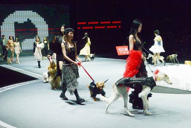 Shanghai Fashion Week, Modenschau mit Haustieren SHANGHAI, CHINA - MARCH 28: Pet dogs accompanied by models walk the runway during 2025 Petjoy Fashion Week at Shanghai Fashion Center on March 28, 2025 in Shanghai, China. The eagerly anticipated 2025 Petjoy Fashion Week will be held on March 28-30 at the Shanghai Fashion Center, bringing together pet lovers, designers and trendsetters from around the world for a special celebration of pet fashion.  Copyright: xVCGx 111557934179