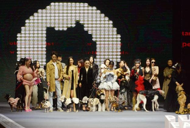Shanghai Fashion Week, Modenschau mit Haustieren SHANGHAI, CHINA - MARCH 28: Pets accompanied by models pose on the stage during 2025 Petjoy Fashion Week at Shanghai Fashion Center on March 28, 2025 in Shanghai, China. The eagerly anticipated 2025 Petjoy Fashion Week will be held on March 28-30 at the Shanghai Fashion Center, bringing together pet lovers, designers and trendsetters from around the world for a special celebration of pet fashion.  Copyright: xVCGx 111557934110