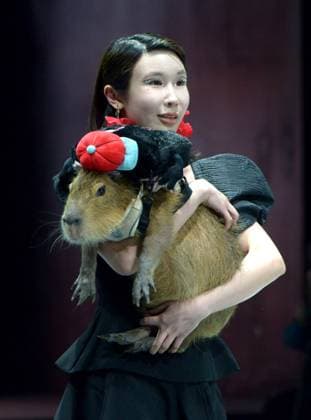 Shanghai Fashion Week, Modenschau mit Haustieren SHANGHAI, CHINA - MARCH 28: A model holding a capybara walks the runway during 2025 Petjoy Fashion Week at Shanghai Fashion Center on March 28, 2025 in Shanghai, China. The eagerly anticipated 2025 Petjoy Fashion Week will be held on March 28-30 at the Shanghai Fashion Center, bringing together pet lovers, designers and trendsetters from around the world for a special celebration of pet fashion.  Copyright: xVCGx 111557934129