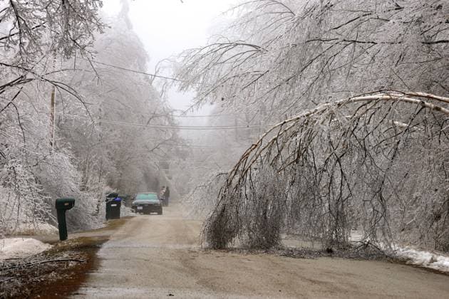 Kanada, Unwetter in Ontario March 30, 2025, Innisfil, Ont, CANADA: Residents inspecting damage near Big Bay Point, a forested area of Innsifil, Ont. after a prolonged multi-day complicated weather system hit the area with with ice, freezing rain and snow - causing many tree branches and hydro wires to fall - leaving more than 250,000 without power through the region. Innisfil CANADA - ZUMAs109 20250330_zaf_s109_013 Copyright: xChristopherxDrostx
