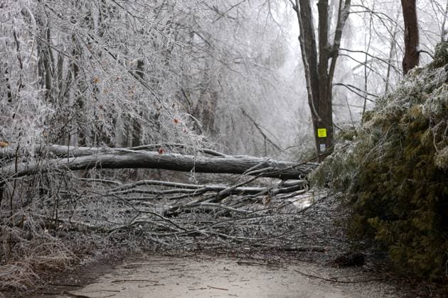 Kanada, Unwetter in Ontario March 30, 2025, Innisfil, Ont, CANADA: Fallen trees block a roadway off Big Bay Point, a forested area of Innsifil, Ont. after a prolonged multi-day complicated weather system hit the area with with ice, freezing rain and snow - causing many tree branches and hydro wires to fall - leaving more than 250,000 without power through the region. Innisfil CANADA - ZUMAs109 20250330_zaf_s109_014 Copyright: xChristopherxDrostx