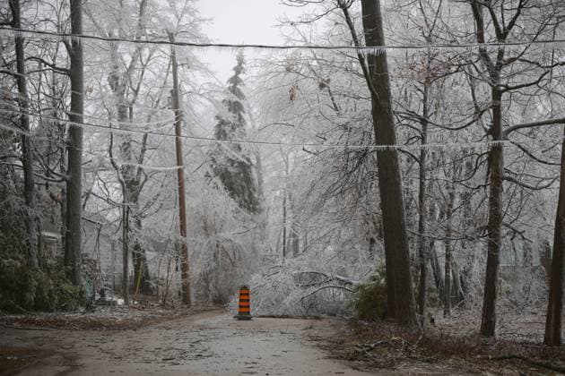 Kanada, Unwetter in Ontario March 30, 2025, Innisfil, Ont, CANADA: Fallen trees off Big Bay Point, a forested area of Innsifil, Ont. after a prolonged multi-day complicated weather system hit the area with with ice, freezing rain and snow - causing many tree branches and hydro wires to fall - leaving more than 250,000 without power through the region. Innisfil CANADA - ZUMAs109 20250330_zaf_s109_017 Copyright: xChristopherxDrostx