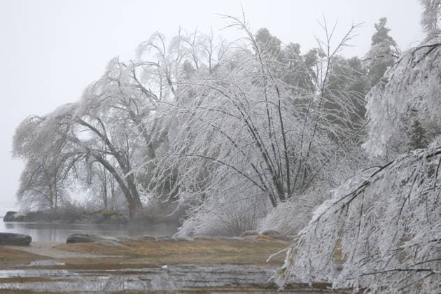 March 30, 2025, Innisfil, Ont, CANADA: Ice-laden trees along Lake Simcoe in Innisfil Beach Park, Ontario following a prolonged multi-day complicated weather system hitting the area with freezing rain, ice and snow. Innisfil CANADA - ZUMAs109 20250330_zaf_s109_021 Copyright: xChristopherxDrostx