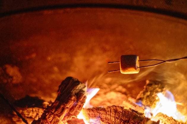 Marshmallow roasting over a campfire with glowing embers and flames. Mabel Lake, British Columbia, Canada R_PESF250326B-1678916-01