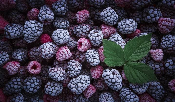 Eine Nahaufnahme zeigt eine Reihe von gefrorenen Himbeeren und Brombeeren, die ihre einzigartige Textur zur Geltung bringen. Ein frisches grünes Blatt fügt der Szene einen Farbakzent hinzu und erhöht den visuellen Reiz A close-up view features an array of frozen raspberries and blackberries, showcasing their unique textures. A fresh green leaf adds a pop of color to the scene, enhancing visual appeal Copyright: imageBROKER xDidebashvili ibxgai12961824.jpg
