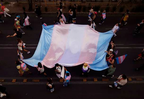 International Transgender Day Of Visibility Trans activists march in the streets of Mexico City, Mexico, on March 31, 2025, against transphobia, racism, classism, misogyny, and transphobic hate crimes on the occasion of International Transgender Day of Visibility. Mexico City Mexico City Mexico  Copyright: xGerardoxVieyrax originalFilename: vieyra-notitle250331_npFIg.jpg