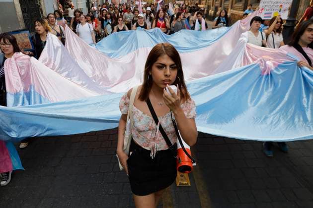 International Transgender Day Of Visibility Trans and non-binary activists march in the streets of Mexico City, Mexico, on March 31, 2025, against transphobia, racism, classism, misogyny, and transphobic hate crimes on the occasion of International Transgender Day of Visibility. Mexico City Mexico City Mexico  Copyright: xGerardoxVieyrax originalFilename: vieyra-notitle250331_npS2p.jpg