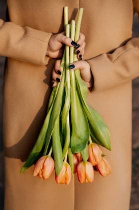 Creative Highlights Symbolfotos Hands holding tulip bouquet in beige coat Pilsen, Plze? Region, Czechia R_NAJJ250401-1695205-01 ,model released, Symbolfoto