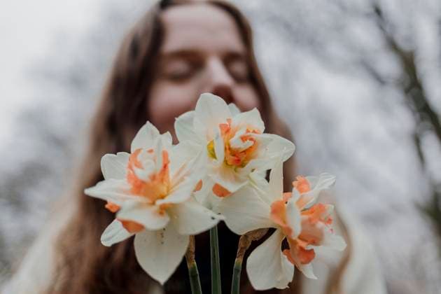 Creative Highlights Symbolfotos Close-up of daffodils with a blurred woman enjoying their scent Amsterdam, North Holland, Netherlands R_RTBZ250401A-1697582-01 ,model released, Symbolfoto