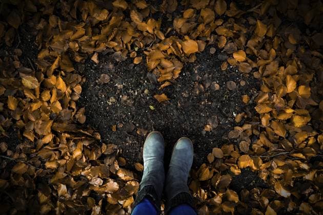 IMAGO Creative, Jahreszeit Herbst auf dem Land Herzförmiges Muster im Laub am Boden, umgeben von Stiefel im herbstlichen Wald, Hasbruch 27798 Hude-Deutschland Heart-shaped pattern in the foliage on the ground, surrounded by boots in autumn forest, Hasbruch 27798 Hude-Germany Copyright: imageBROKER FrankxNiehaus ibxfni13037082.jpg