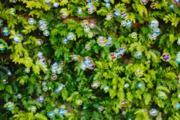 IMAGO Creative, Lifestyle, Feste im Garten #2 Colorful soap bubbles floating in front of leafy green background Indian Wells, California, United States R_XPKR250405-1699159-01