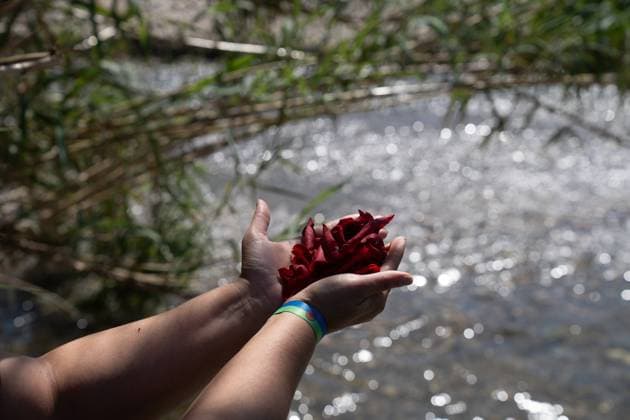 River ceremony on the occasion of the Day of the Gypsy People in Sant Adrià de Besòs Barcelona A woman throws petals into the river during the river ceremony, at the Pont de Cristòfol Moura, on April 8, 2025, in Sant Adrià de Besòs, Barcelona, Catalonia Spain On the occasion of the Day of the Gypsy People, a day that recognizes the history, culture and language of the Gypsy people, women have thrown petals into the river and men have lit candles as part of the traditional river ceremony, day that recognizes the history, culture and language of the Roma people, women have thrown petals into the river and men have lit candles as part of the traditional river ceremony 08 APRIL 2025 Sant AdriÃ de BesÃ²s, Barcelona Sant AdriÃ de BesÃ²s, Barcelo  Copyright: xDavidxZorrakinox 6633209
