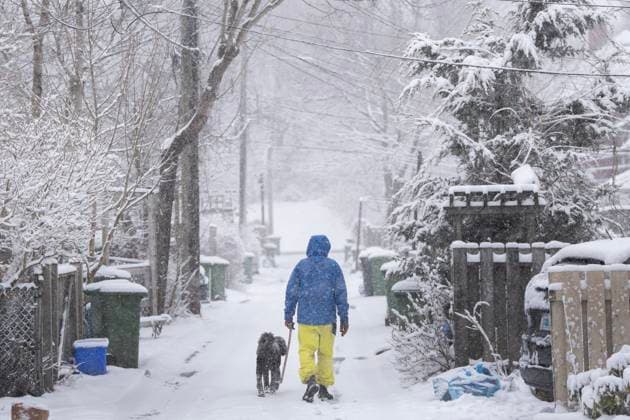 April 8, 2025, Halifax, Ns, Canada: A pedestrian walks their dog across the street in Halifax during a spring snowstorm that closed schools and impacted travel across much of Nova Scotia on Tuesday, April 8, 2025. Halifax Canada  - ZUMAc35_ 20250408_zaf_c35_002 Copyright: xDarrenxCalabresex