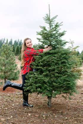 Joyful stylish female selecting Christmas Tree at tree farm Tacoma, Washington, United States R_PRKN250115-1630257-01 ,model released, Symbolfoto