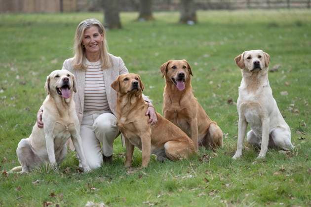 Bilder des Jahres 2025, Entertainment 04 April Entertainment Themen der Woche KW15 Entertainment Bilder des Tages . 08 04 2025. Windsor, United Kingdom. Sophie, Duchess of Edinburgh, during a visit to the Yellow Labrador Club in Windsor, United Kingdom.  xi-Imagesx IIM-25873-0025