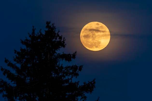 Bilder des Jahres 2025, News 04 April News Bilder des Tages Ostermond, Pink Moon, Vollmond am Nachthimmel über München, Nacht 12. 13. April 2025 Deutschland, München, 12. 13.April 2025, Ostermond, Pink Moon, Vollmond am Nachthimmel über München, geht am Horizont über München auf, leicht verschleiert mit einem Hof *** Easter Moon, Pink Moon, full moon in the night sky over Munich, night April 12 13, 2025 Germany, Munich, April 12 13, 2025, Easter Moon, Pink Moon, full moon in the night sky over Munich, rises on the horizon over Munich, slightly veiled with a yard