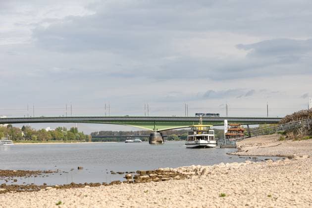 News Themen der Woche KW15 Niedrigwasser am Rhein bei Bonn 13.04.2025 Bonn. Niedrigwasser am Rhein bei Bonn. Bonn Beuel Nordrhein-Westfalen Deutschland *** Low water on the Rhine near Bonn 13 04 2025 Bonn Low water on the Rhine near Bonn Bonn Beuel North Rhine-Westphalia Germany