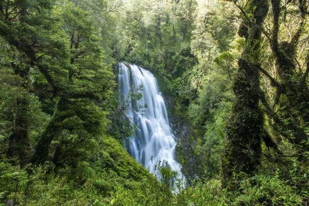 Wasserfall im Urwald, Nationalpark Pumalin-Douglas Tompkins, Chaiten, Region Los Lagos, Patagonien, Chile, Südamerika Waterfall in the jungle, Pumalin-Douglas Tompkins National Park, Chaiten, Los Lagos region, Patagonia, Chile, South America Copyright: imageBROKER OliverxGerhard ibxoge13094758.jpg