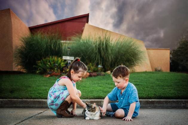 Creative Highlights Symbolfotos Children petting an outdoor cat Tulsa, Oklahoma, United States CR_KRRY250412-1661769-01 ,model released, Symbolfoto