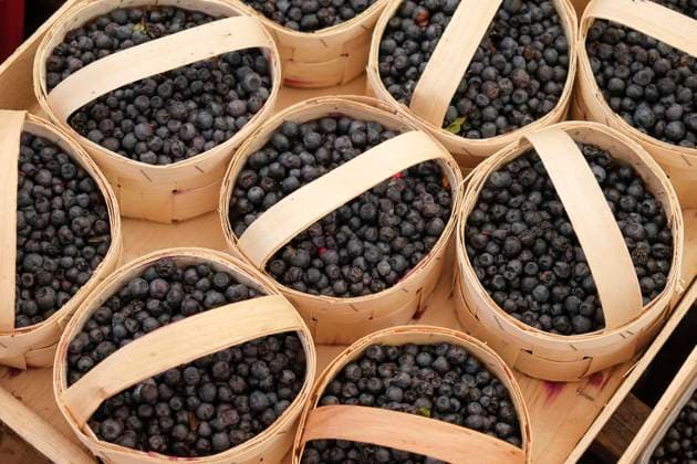 Munich, Germany. Farmers market. Wild blueberries  Copyright: xJulienxMcRobertsx x EU10 JMR0044