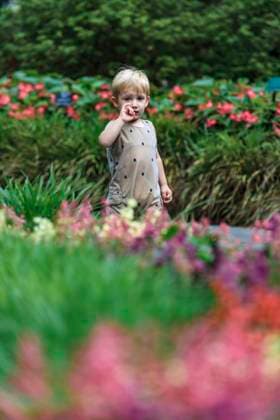 Creative Highlights Symbolfotos A young child strolling through a garden. (MR)  Copyright: xLarryxRichardsonx x NA01 LRI0091