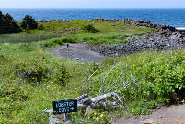 USA, Maine. Monhegan Island, Lobster Cove  Copyright: xHollicexLooneyx x US20 HLL0055