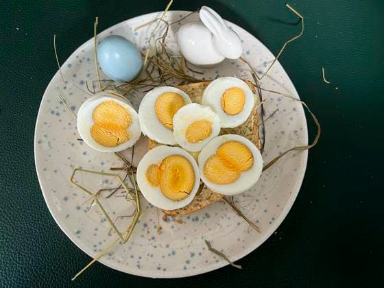 IMAGO Creative, Ostern, Bräuche, Osterbrunch Aufgeschnittenes gekochtes Hartes Huehner Ei mit Eisweis und gelben Doppel Dotter liegt auf einem Broetchen auf einem Teller mit Osterdeko Ostergras Deko Hasen auf dem Oster Fruehstueckstisch-Hamburg April2025-Das Ei, lateinisch ovum, ist ein System, das in einem fruehen Stadium der Entwicklung eines Eier legenden Tieres gebildet wird Hamburg Deutschland *** Sliced boiled hard chicken egg with egg white and yellow double yolk lies on a bread on a plate with Easter decoration Easter grass decoration bunny on the Easter breakfast table Hamburg April2025 The egg, Latin ovum, is a system formed at an early stage of development of an egg-laying animal Hamburg Germany