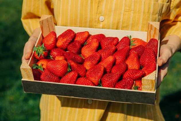 Creative Highlights Symbolfotos Woman in yellow shirt holding a wooden box of fresh strawberries outdoors model released, Symbolfoto, VSNF03071