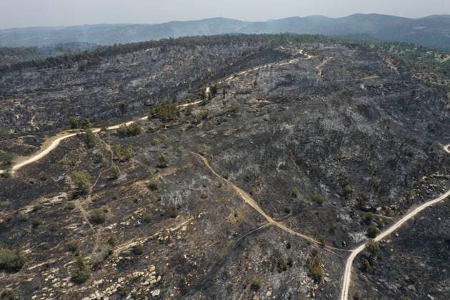 Bilder des Jahres 2025, News 04 April News Themen der Woche KW17 News Bilder des Tages (250425) -- JERUSALEM, April 25, 2025 -- An aerial drone photo taken on April 24, 2025 shows burned trees in a nature reserve near Jerusalem after a massive wildfire. (Photo by Xinhua) MIDEAST-JERUSALEM-WILDFIRE GilxCohenxMagen 