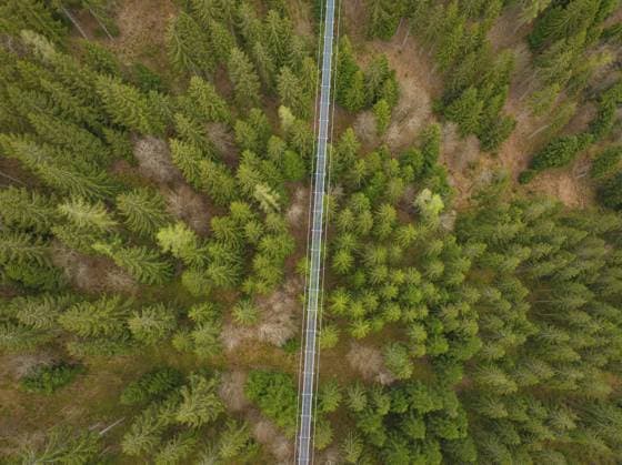 Gitterbrücke über einem dichten Waldstück, Wildline Hängebrücke, Bad Wildbad, Schwarzwald, Deutschland, Europa Lattice bridge over a dense forest, Wildline suspension bridge, Bad Wildbad, Black Forest, Germany, Europe Copyright: imageBROKER ManuelxKamuf ibxmlk13213889.jpg