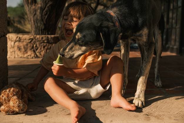 Creative Highlights Symbolfotos Shared Treats and Summer Laughs San Miguel de Allende, Guanajuato, Mexico CR_WDJM250425-1718143-01 ,model released, Symbolfoto