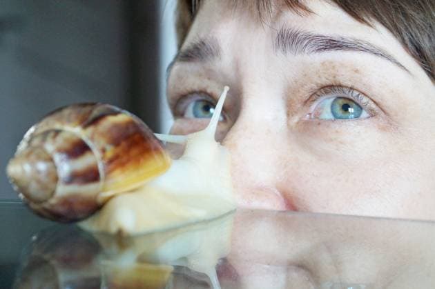 Creative Highlights Symbolfotos White snail akhatina crawls on the nose of a woman Angarsk, Irkutsk Oblast, Russia R_MAKU210511A-740003-01 ,model released, Symbolfoto