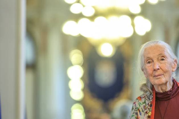 May 2, 2025: May 2, 2025 (malaga) Doctor Jane Goodall has appeared at the MoÂ¡laga City Hall, together with the mayor of MoÂ¡laga, Francisco de la Torre, and Jane Goodall in Spain, to present the conference Hope in action at the Cine Albo niz, in which will be the only conference of his world tour given in Spain With respect to chimpanzees, one of the great fields that has dedicated her career to the ethologist, he recalled how the treatment of these animals has changed since she began to investigate them - ZUMAc161 20250502_zap_c161_016 Copyright: xLorenzoxCarnerox