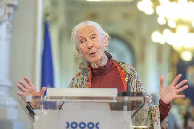 May 2, 2025: Malaga, Spain: Doctor Jane Goodall has appeared at the Malaga City Hall, to present the conference Hope in action the only conference of his world tour given in Spain With respect to chimpanzees, one of the great fields that has dedicated her career to the ethologist, he recalled how the treatment of these animals has changed since she began to investigate them. Malaga Spain - ZUMAc161 20250502_zap_c161_025 Copyright: xLorenzoxCarnerox