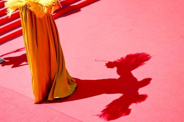 J Illustrations du tapis rouge lors de la montée des marches du film Sound of falling lors du 78ème Festival International du Film de Cannes Illustration of the red carpet for the film Sound of falling during the 78th Cannes International Film Festival On may 14th 2025 Jacovides Moreau Bestimage Red carpet for the film Sound of falling during the 78th Cannes International Film Festival at the Palais des Festivals in Cannes, France On may 14th 2025 Cannes France  Copyright: xJACOVIDES-MOREAUx xBESTIMAGExJACOVIDES-MOREAUx xBESTIMAGEx