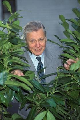 RECORD DATE NOT STATED DAVID ATTENBOROUGH Ref: 852 London Great Britain Copyright: xHughxThompson CapitalxPicturesx