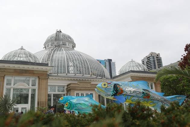 Allan Garden Reopening In Toronto, Canada People visit the Palm House at Allan Gardens Conservatory, which reopens to the public in Toronto, Canada, on May 14, 2025, after extensive restoration. Toronto Canada  Copyright: xArrushxChoprax originalFilename: chopra-notitle250515_npA2x.jpg