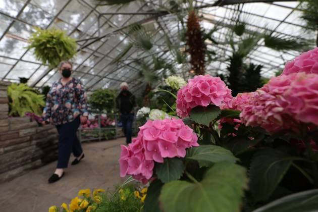Allan Garden Reopening In Toronto, Canada People visit the Palm House at Allan Gardens Conservatory, which reopens to the public in Toronto, Canada, on May 14, 2025, after extensive restoration. Toronto Canada  Copyright: xArrushxChoprax originalFilename: chopra-notitle250515_npQtZ.jpg