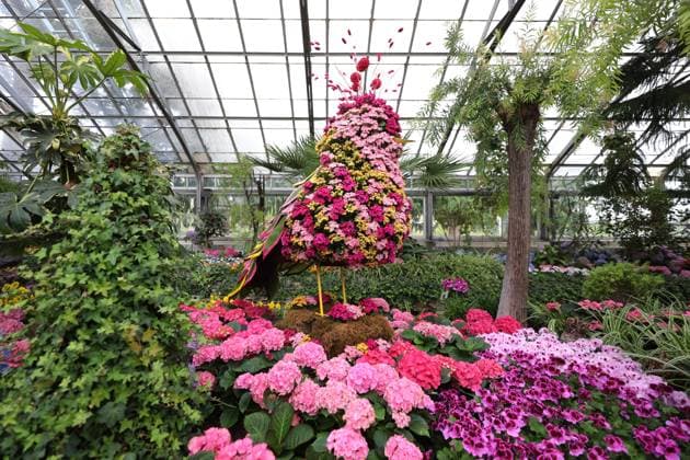 Allan Garden Reopening In Toronto, Canada People visit the Palm House at Allan Gardens Conservatory, which reopens to the public in Toronto, Canada, on May 14, 2025, after extensive restoration. Toronto Canada  Copyright: xArrushxChoprax originalFilename: chopra-notitle250515_npriV.jpg