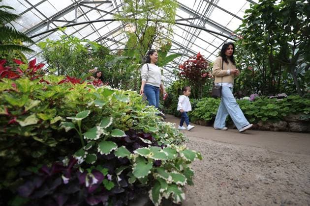 RECORD DATE NOT STATED Allan Garden Reopening In Toronto, Canada Toronto Canada  Copyright: xArrushxChoprax originalFilename: chopra-notitle250515_npWmc.jpg