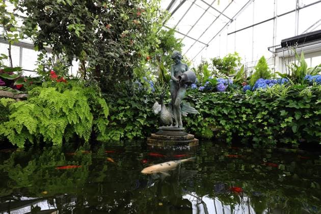 Allan Garden Reopening In Toronto, Canada A sculpture is at The Palm House in the Allan Gardens Conservatory, which reopens to the public in Toronto, Canada, on May 14, 2025, after extensive restoration. Toronto Canada  Copyright: xArrushxChoprax originalFilename: chopra-notitle250515_npXFg.jpg