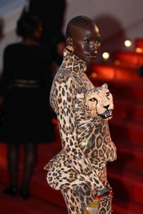 May 15, 2025, Cannes, Cote D azur, France: A guest wears a leopard print and leopard head dress on the red carpet for the Sirat Premiere screening at the 78th Annual Cannes Film Festival at Palais des Festivals in Cannes, France Cannes France - ZUMAc179 20250515_zep_c179_247 Copyright: xMickaelxChavetx