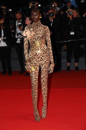 May 15, 2025, Cannes, Cote D azur, France: A guest wears a leopard print and leopard head dress on the red carpet for the Sirat Premiere screening at the 78th Annual Cannes Film Festival at Palais des Festivals in Cannes, France Cannes France - ZUMAc179 20250515_zep_c179_248 Copyright: xMickaelxChavetx