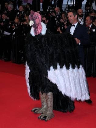 Cannes, 78th Cannes Film Festival 2025 - evening 5 - red carpet of the film Die, My Love Cannes, 78th Cannes Film Festival 2025 - evening 5 - red carpet of the film Die, My Love In the photo: Guest Cannes France  Copyright: xIPA ABACAx