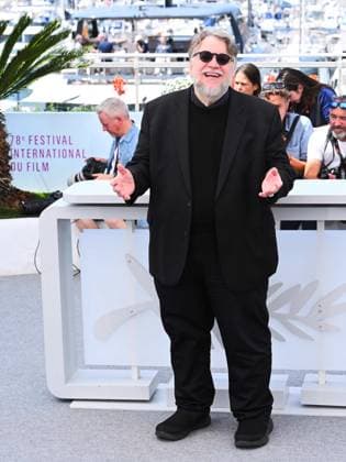 Internationale Filmfestspiele von Cannes, La lecon de musique Photocall Cannes, 78th Cannes Film Festival 2025 - day 6 - Photocall of the film La Leçon De Musique Alexandre Desplat & Guillermo Del Toro Cannes, 78th Cannes Film Festival 2025 - day 6 - Photocall of the film La Leçon De Musique Alexandre Desplat & Guillermo Del Toro . In the photo Guillermo Del Toro Cannes France France  Copyright: xIPA ABACAx