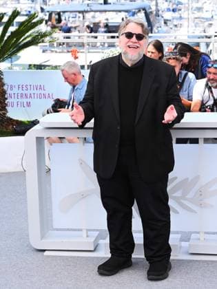 Cannes, France, France: Cannes, 78th Cannes Film Festival 2025 - day 6 - Photocall of the film La Lecon De Musique Alexandre Desplat & Guillermo Del Toro . In the photo Guillermo Del Toro Cannes France  - ZUMAp169 20250518_zea_p169_815 Copyright: xAlbertoxTerenghix