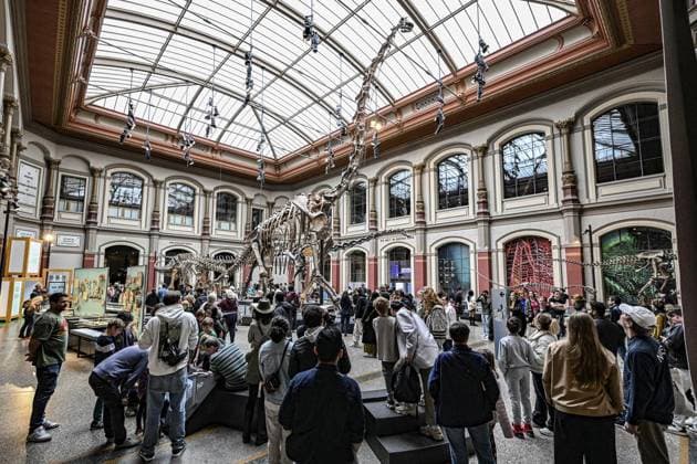 Internationaler Museumstag in Berlin - Naturkundemuseum ** NUR FÜR REDAKTIONELLE ZWECKE ** EDITORIAL USE ONLY **<p>Internationaler Museumstag in Berlin - Besucher gehen durch das Naturkundemuseum, fotografiert am 18. Mai 2025 in Berlin. Berlin Berlin Berlin Copyright: MaurizioxGambarini *** International Museum Day in Berlin Natural History Museum FOR EDITORIAL PURPOSES ONLY EDITORIAL USE ONLY p International Museum Day in Berlin Visitors walk through the Natural History Museum, photographed on May 18, 2025 in Berlin Berlin Berlin Berlin Copyright MaurizioxGambarini Copyright: MaurizioxGambarini doc80ow7f7p6y1h4th47nd ,EDITORIAL USE ONLY